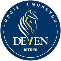 Logo DEVEN 2017 Petit
