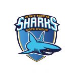 LES SHARKS